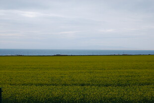 广袤绿色田野与远方天际