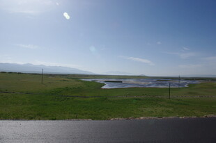 草原公路旁的湖畔风光