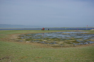 草原上的圆形积水景观