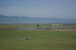 草原风光 远处村落与水域