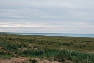 广袤草原与远处天际线