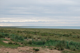 广袤草原与天际线景观