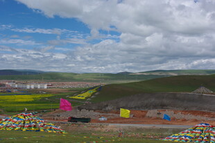 草原上的多彩景观