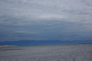 阴沉天空下的广袤水域