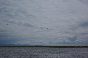 阴天的广阔水域景象