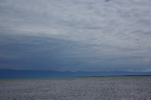阴沉天空下的广阔水域