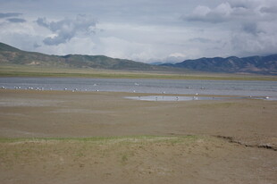 广袤草原旁的宁静水域