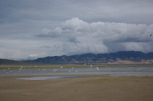 湖畔云景 宁静自然风光