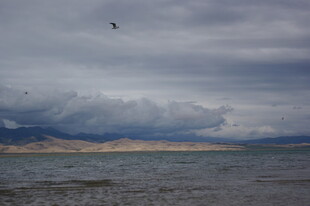 乌云下飞鸟掠过广阔水域
