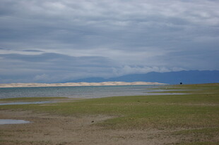 草原湿地阴天风景图