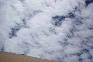 仰望天空中的蓬松云朵