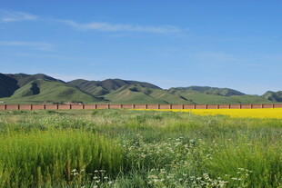 草原田野间的美丽风光