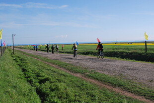 田野骑行道上的骑行者