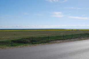 公路旁的田野与蓝天景色