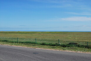 公路旁的开阔草原风景