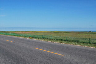 宽阔公路旁的广袤田野