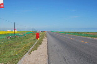 公路旁多彩田野风景