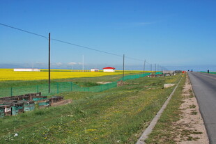 田野公路边的多彩风光