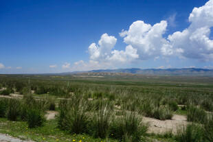 广袤草原上的蓝天白云