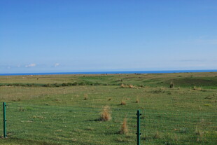 草原风光 远方蓝天与围栏