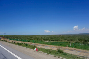 公路旁的开阔田野风光