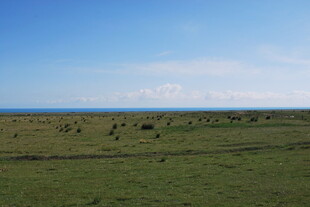 草原风光 远方海天一色