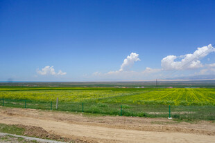 田野风光 蓝天白云下的美景