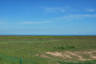 广袤草原与蓝天美景