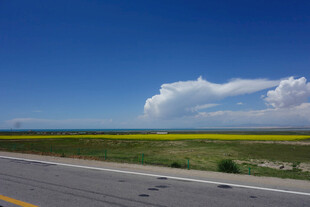 公路边广袤原野与白云