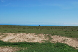 广袤草原与蓝天相接