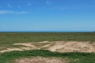 广袤草原与蓝天美景