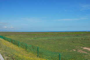 草原围栏边的开阔风景
