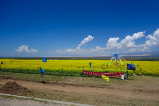 田野中的游乐设施