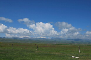 草原蓝天与白云美景