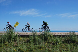 公路骑行者 畅享自由之旅