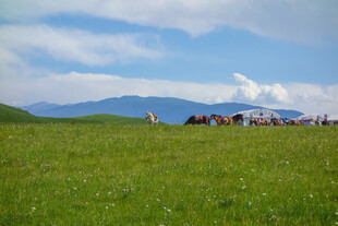 草原上的人群与壮美风光