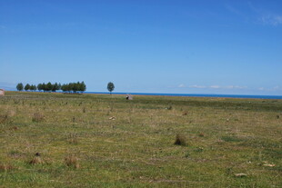 广袤草原与远方天际线