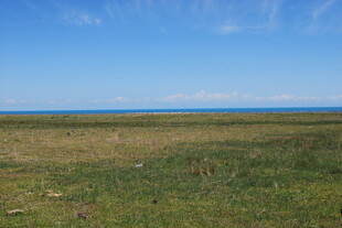 广袤草原与远方蓝天相接