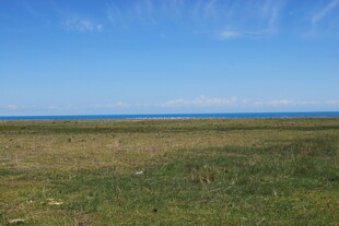草原与蓝天相接的开阔景致