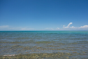 广阔清澈的蓝色海洋景观