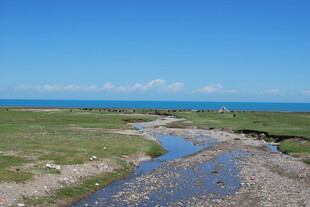 草原间蜿蜒的蓝色溪流