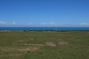 广阔草原与远处蔚蓝天空