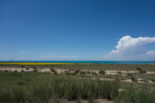 青海湖草原风光美景