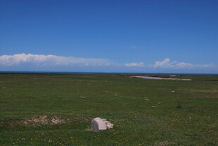 广袤草原与蓝天