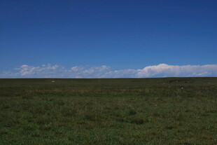 广袤草原与蓝天