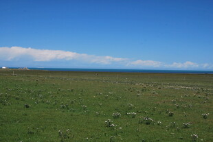 广袤草原 蓝天白云美景