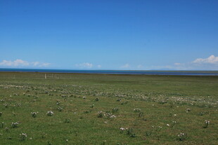 广袤草原与蓝天景观
