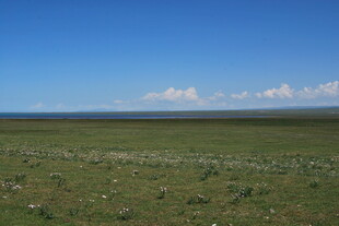 广袤草原与蓝天相接