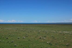 广袤草原 蓝天之下的风景