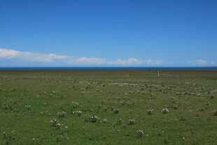 广袤草原蓝天美景